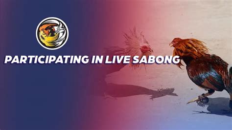 kasiyahan live sabong|Log In .